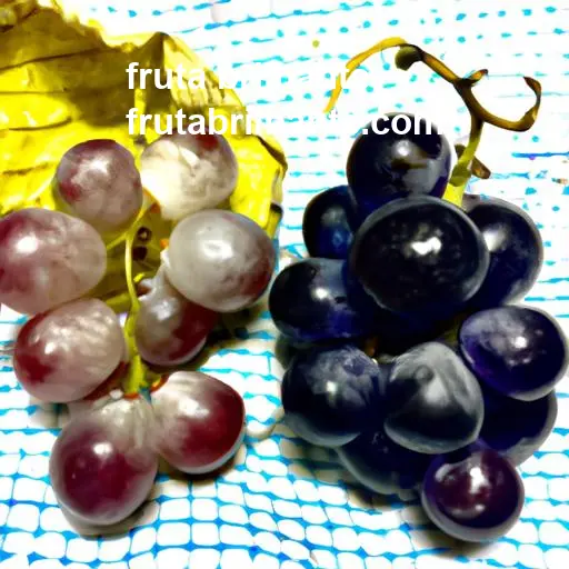 culinária culinária